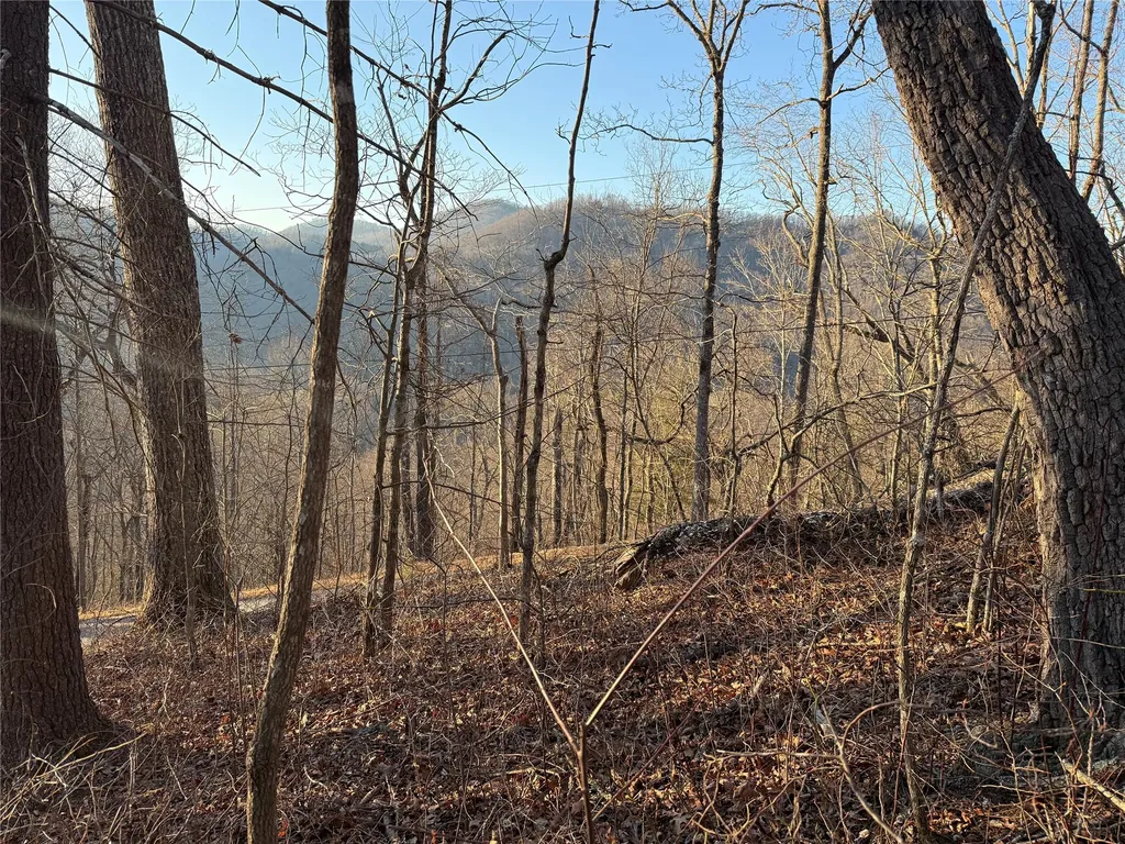 45 Big Pilot Mountain Glenville NC 28763