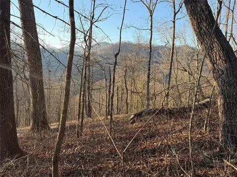 45 Big Pilot Mountain Glenville NC 28763