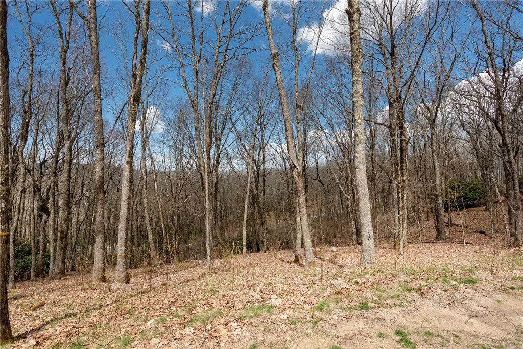 D34 Benchmark Drive Glenville NC 28736