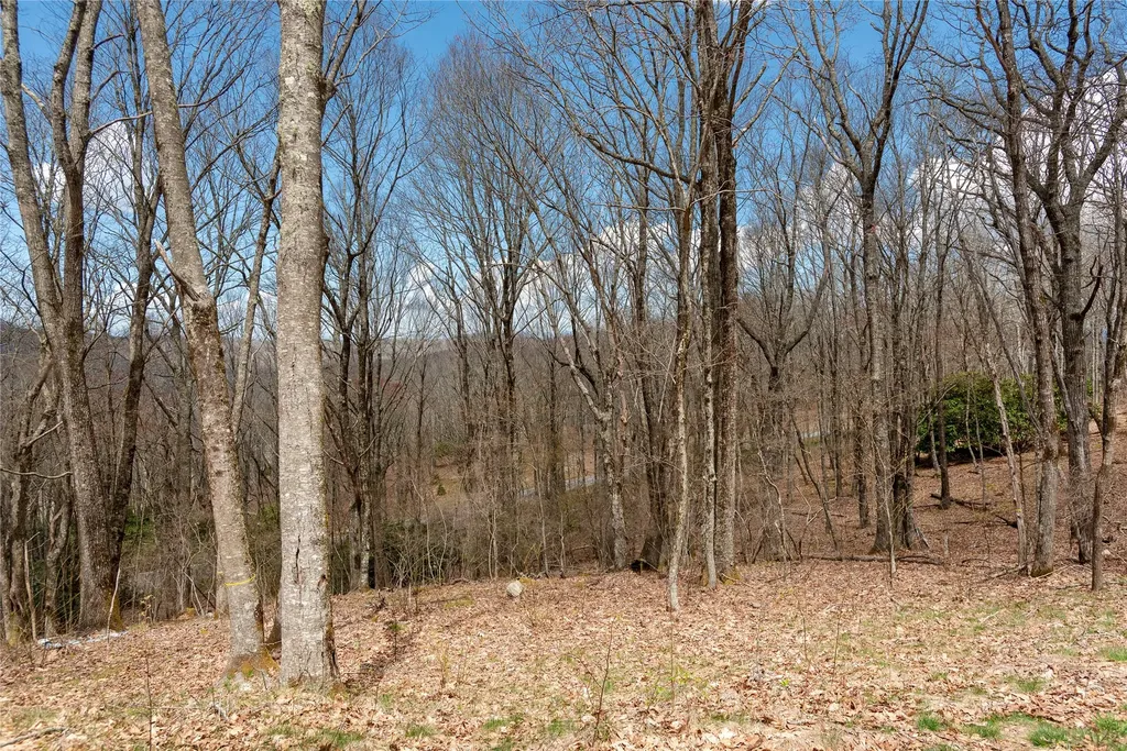 D34 Benchmark Drive Glenville NC 28736