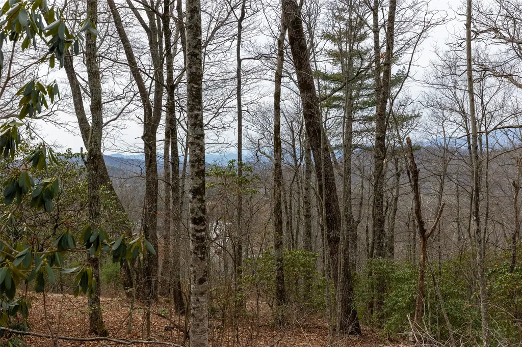 Tbd Eastside Duck Mountain Road Scaly Mountain NC 28775