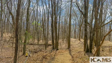 Tbd Eastside Duck Mountain Road Scaly Mountain NC 28775