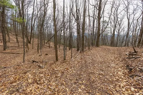 Tbd Eastside Duck Mountain Road Scaly Mountain NC 28775