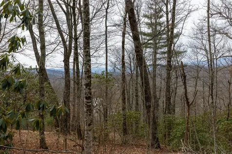 Tbd Eastside Duck Mountain Road Scaly Mountain NC 28775