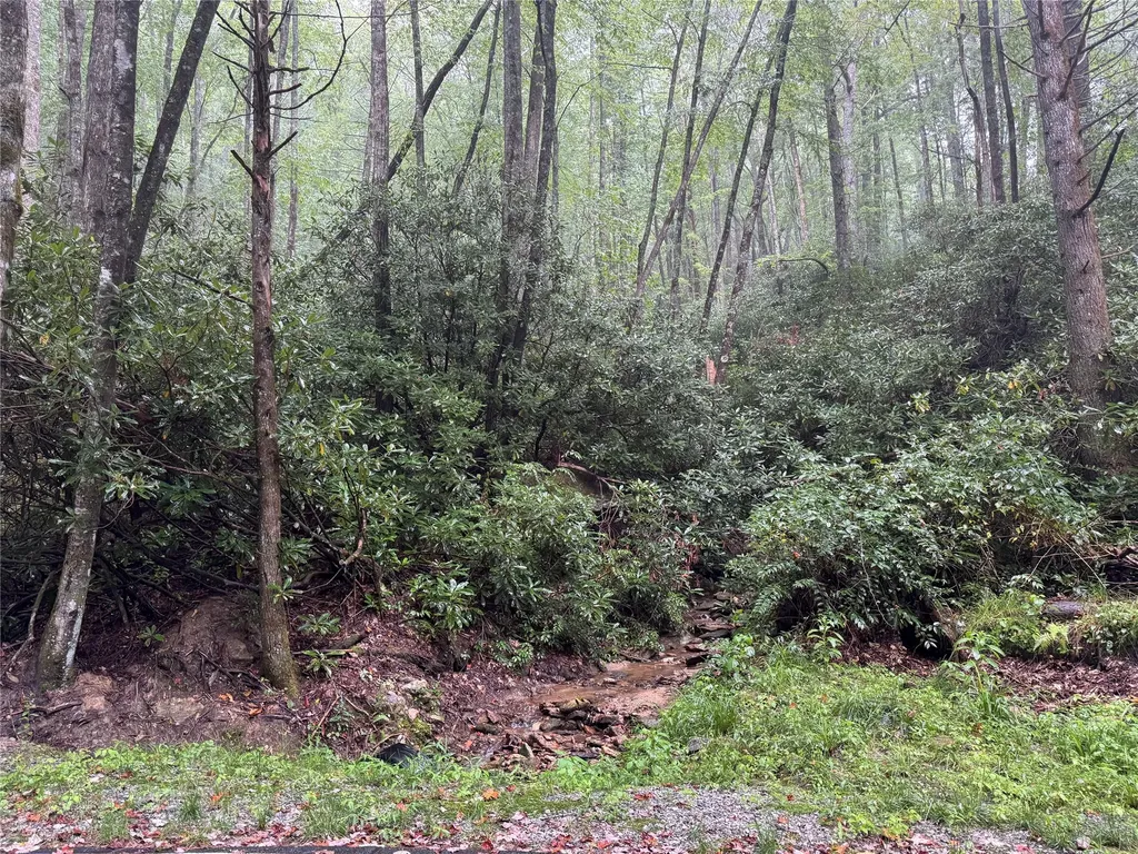 Lot 66 West Christy Trail Sapphire NC 28774