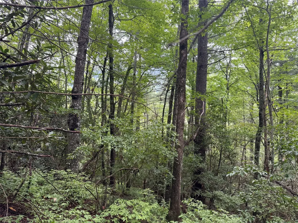 Lot 66 West Christy Trail Sapphire NC 28774