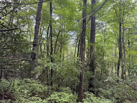 Lot 66 West Christy Trail Sapphire NC 28774