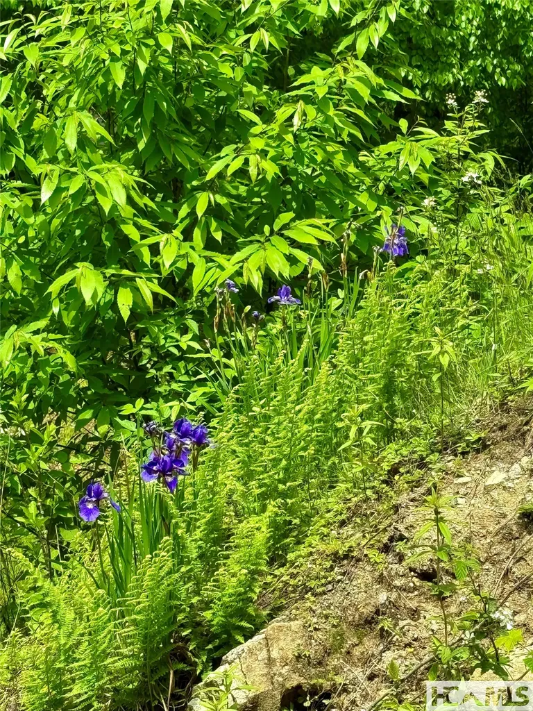 Tbd Mountain Harbor Club Glenville NC 28736