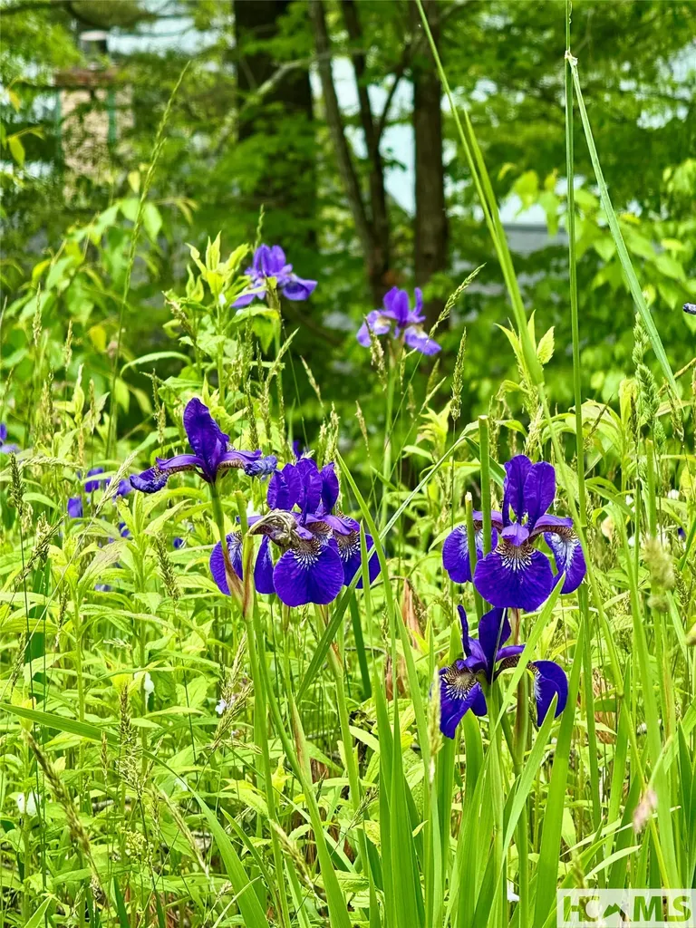 Tbd Mountain Harbor Club Glenville NC 28736