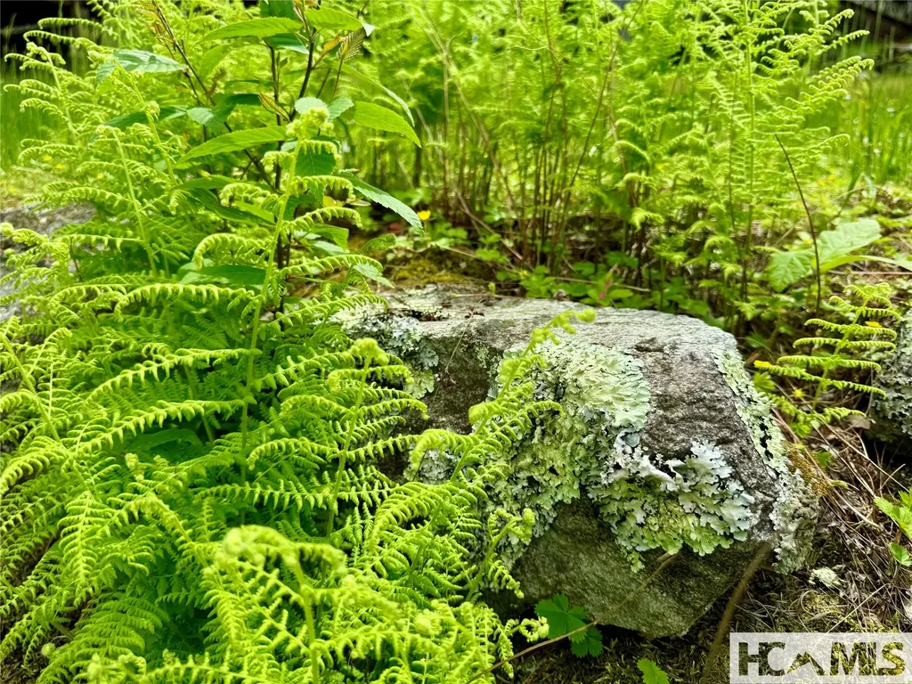 Tbd Mountain Harbor Club Glenville NC 28736