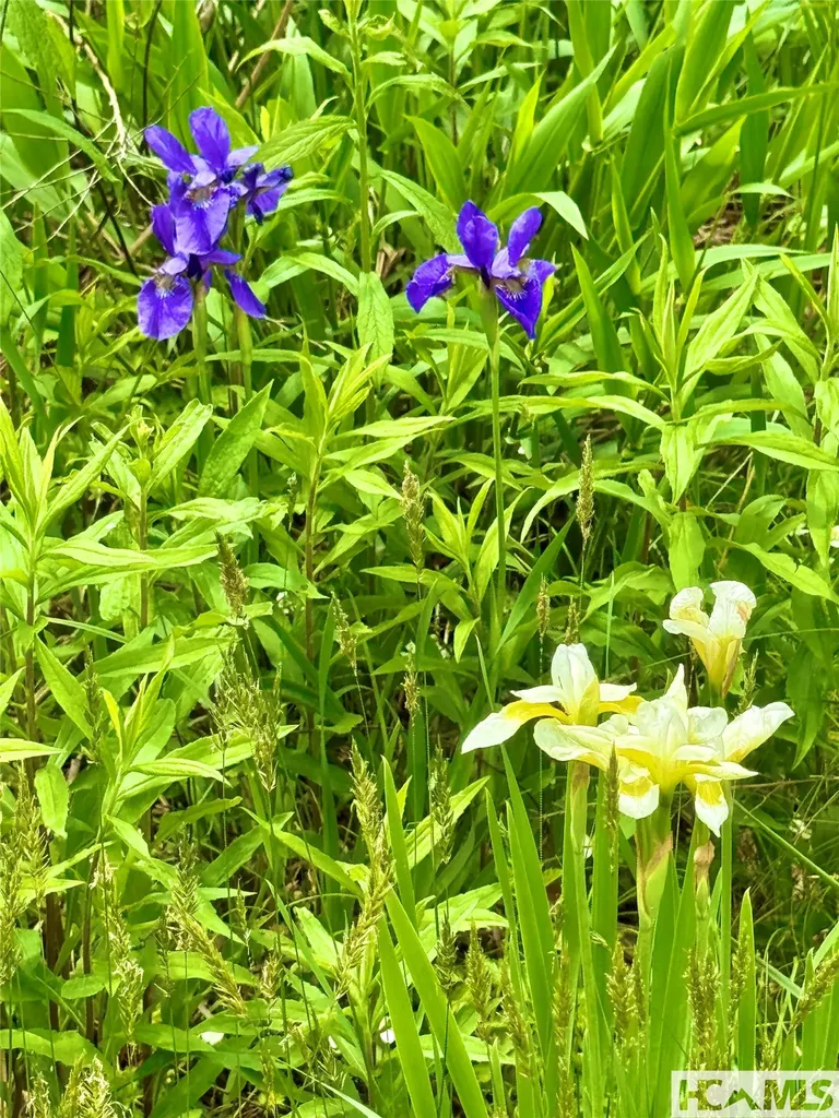 Tbd Mountain Harbor Club Glenville NC 28736