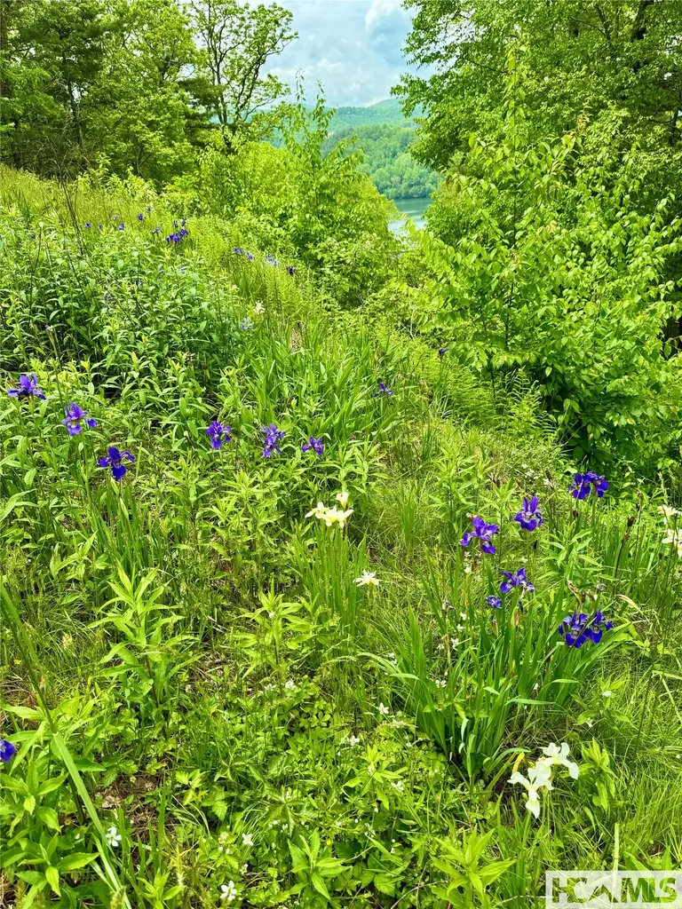 Tbd Mountain Harbor Club Glenville NC 28736