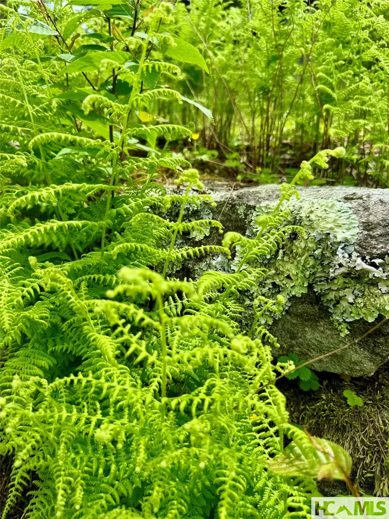 Tbd Mountain Harbor Club Glenville NC 28736