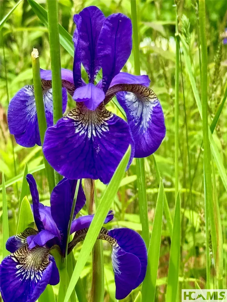 Tbd Mountain Harbor Club Glenville NC 28736