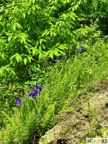 Tbd Mountain Harbor Club Glenville NC 28736