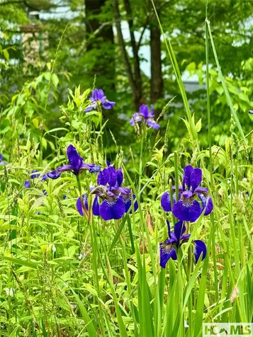 Tbd Mountain Harbor Club Glenville NC 28736