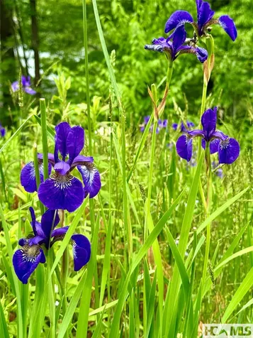 Tbd Mountain Harbor Club Glenville NC 28736