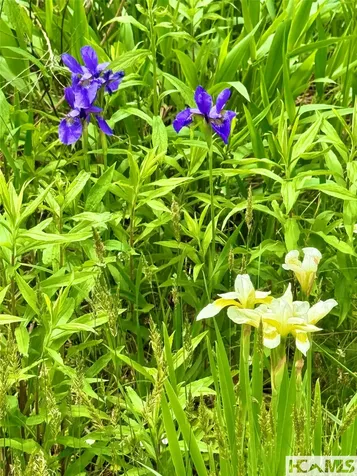 Tbd Mountain Harbor Club Glenville NC 28736