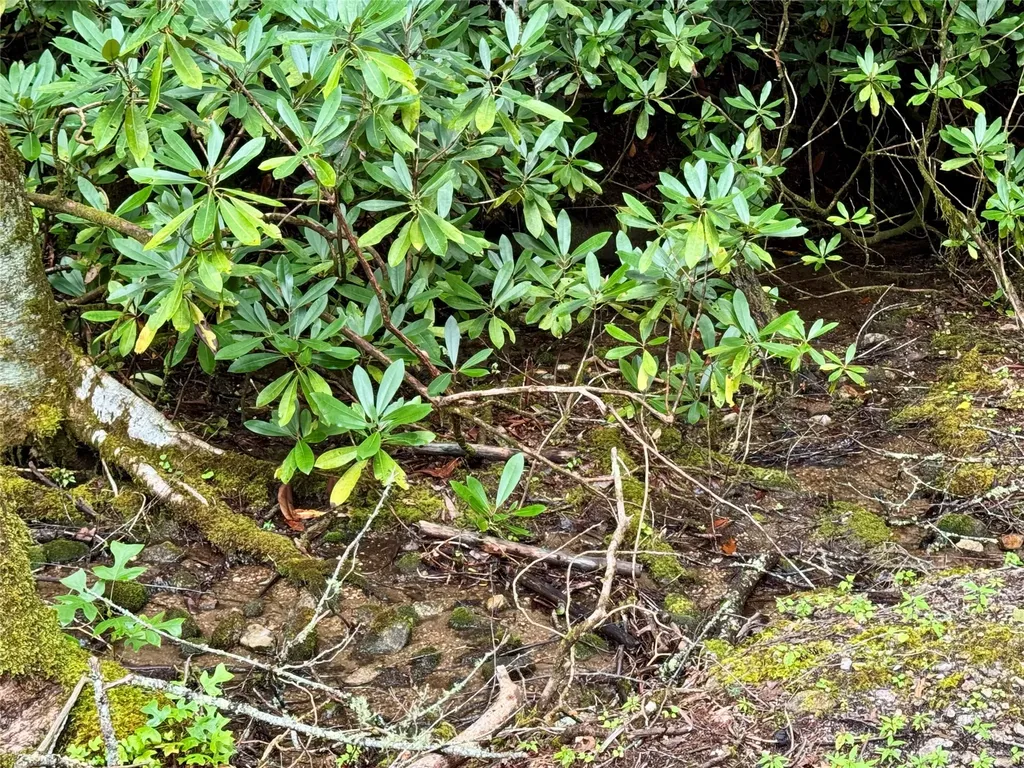 240 Pineland Drive Highlands NC 28741