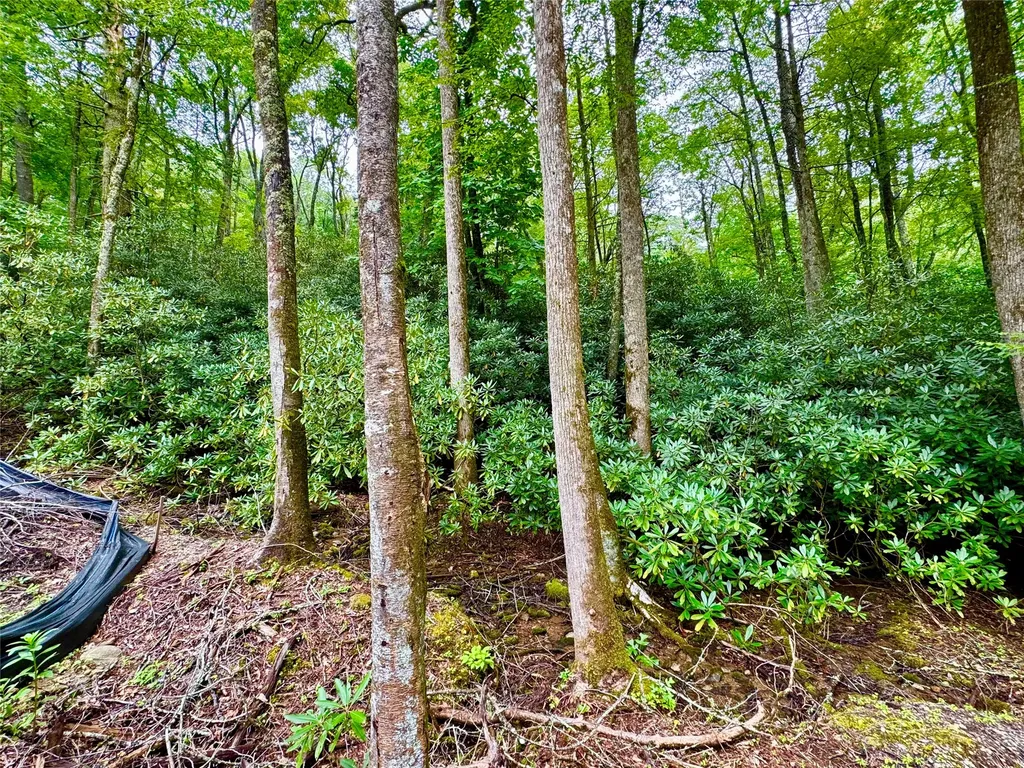 240 Pineland Drive Highlands NC 28741