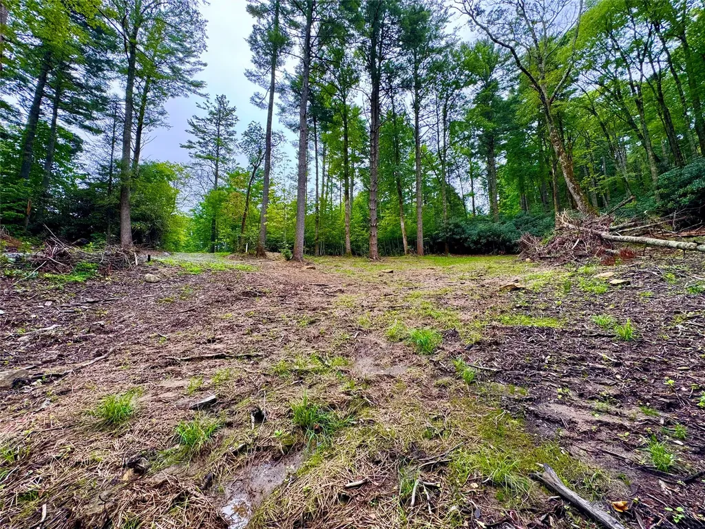 240 Pineland Drive Highlands NC 28741