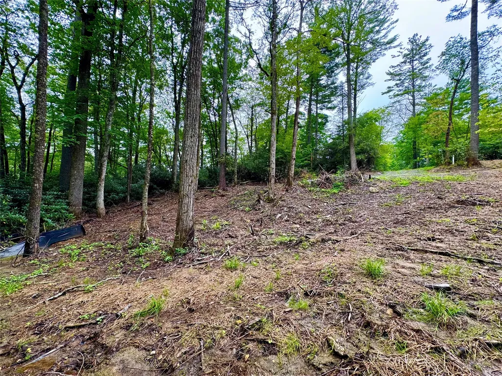 240 Pineland Drive Highlands NC 28741