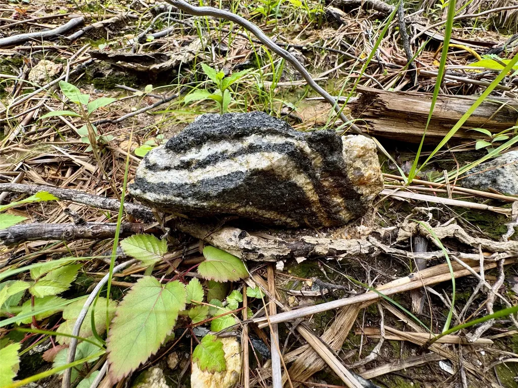 240 Pineland Drive Highlands NC 28741