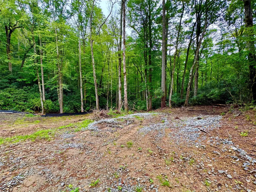 240 Pineland Drive Highlands NC 28741