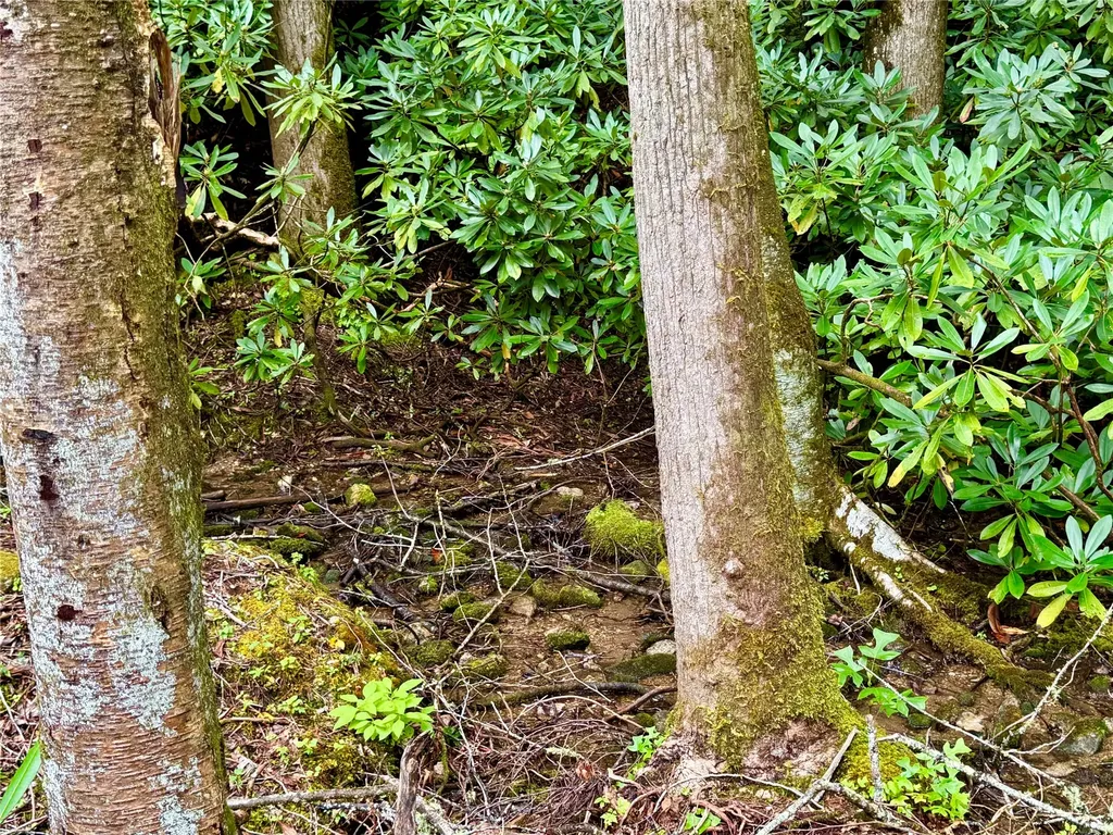 240 Pineland Drive Highlands NC 28741