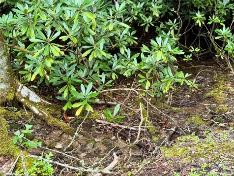 240 Pineland Drive Highlands NC 28741