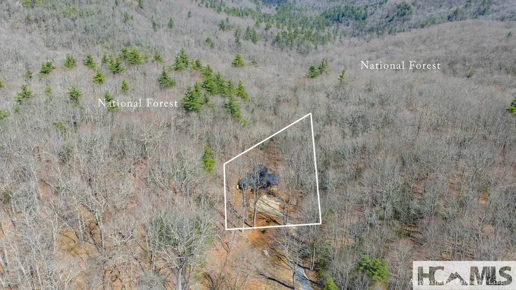 102 Bartram Cove Lane Highlands NC 28741
