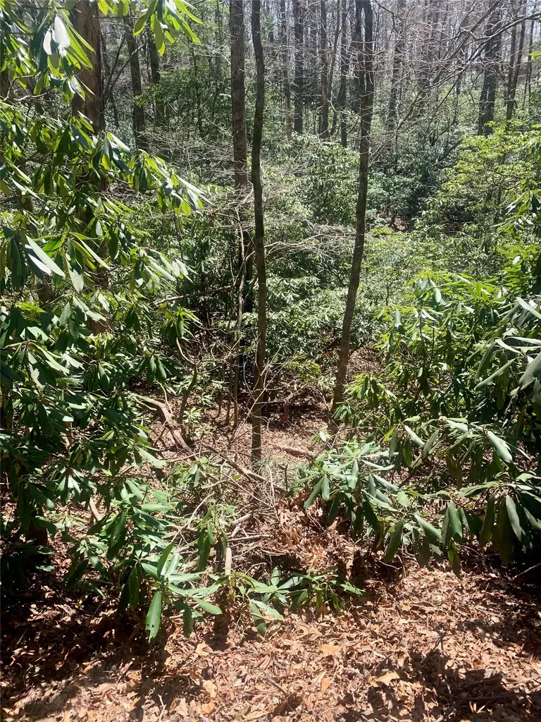 Lot Indian Lake Road Lake Toxaway NC 28747