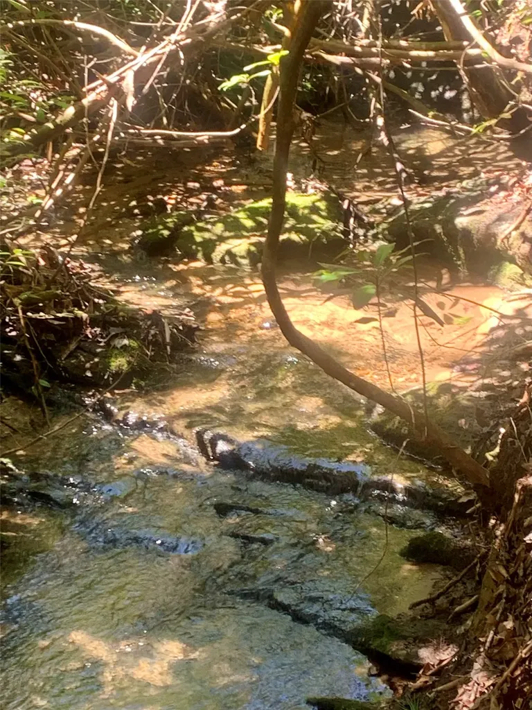 Lot Indian Lake Road Lake Toxaway NC 28747