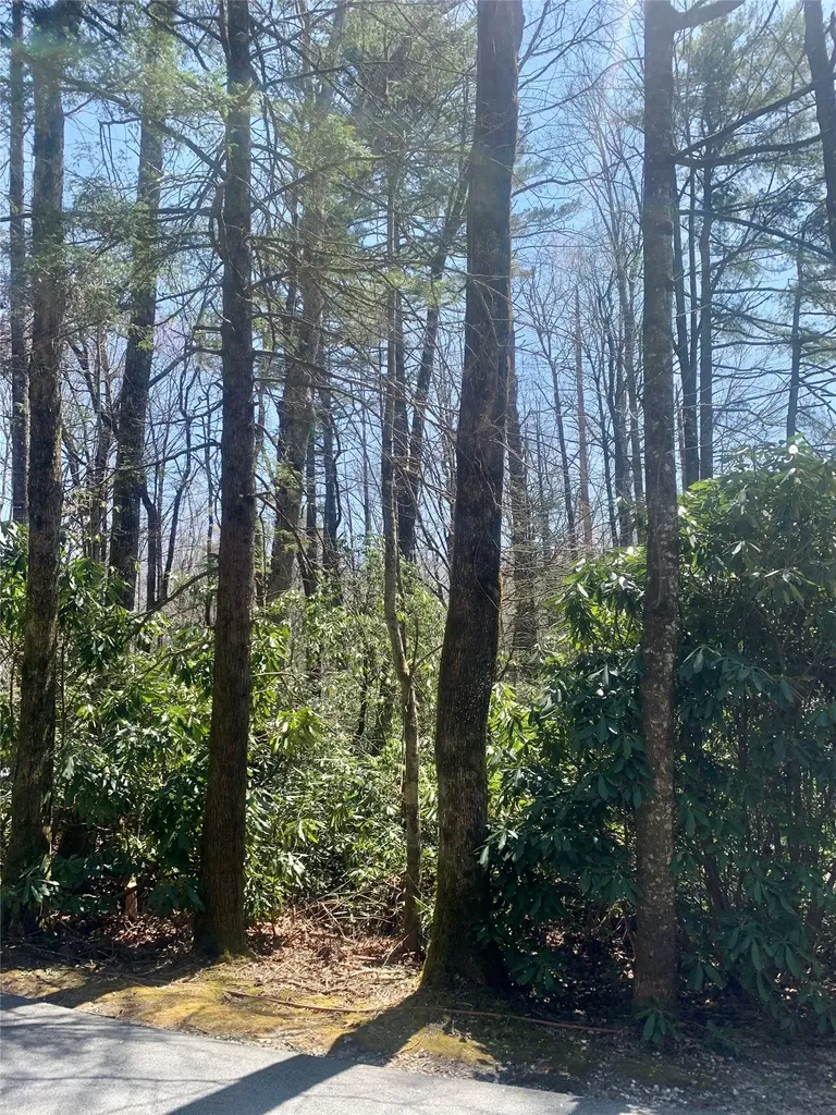 Lot Indian Lake Road Lake Toxaway NC 28747