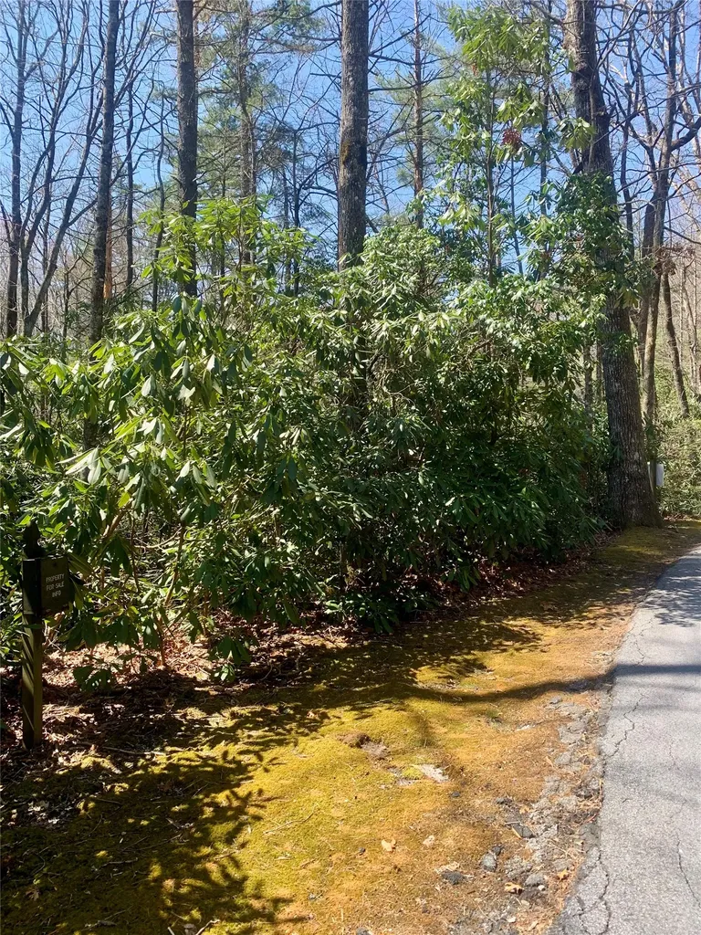 Lot Indian Lake Road Lake Toxaway NC 28747