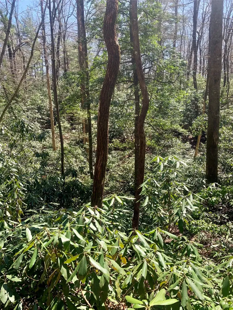 Lot Indian Lake Road Lake Toxaway NC 28747