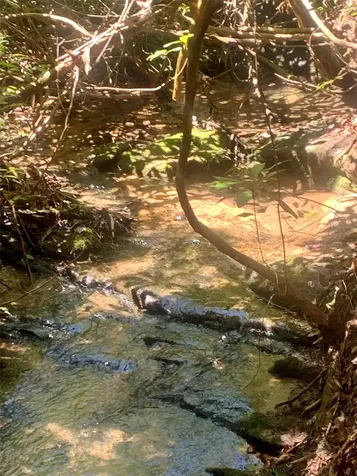 Lot Indian Lake Road Lake Toxaway NC 28747