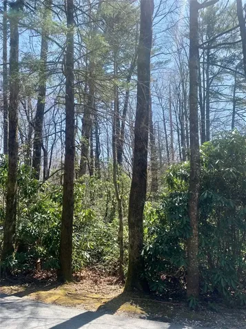 Lot Indian Lake Road Lake Toxaway NC 28747