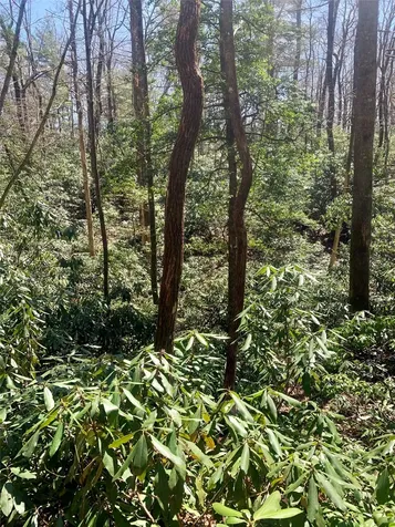 Lot Indian Lake Road Lake Toxaway NC 28747