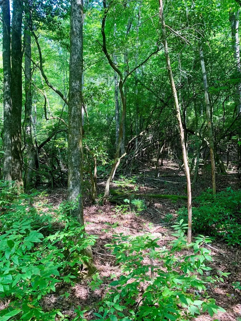 Lot 6 Double Creek Road Brevard NC 28712