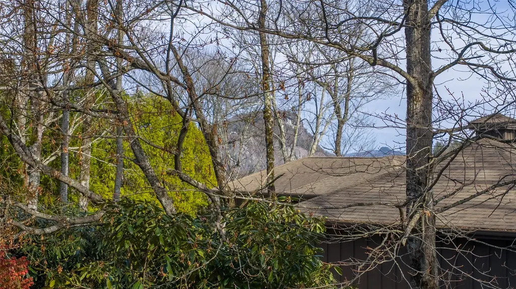 15 Bonnevista Road Highlands NC 28741