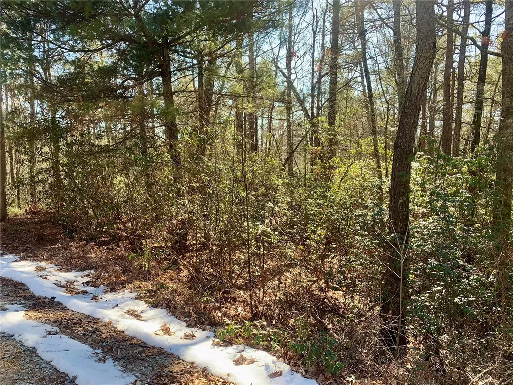 Tbd Oak Ridge Drive Brevard NC 28712