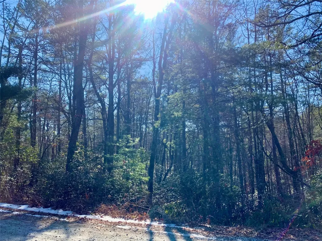 Tbd Oak Ridge Drive Brevard NC 28712