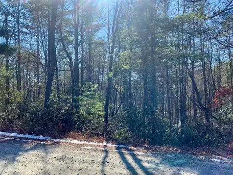 Tbd Oak Ridge Drive Brevard NC 28712