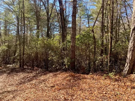 Tbd Oak Ridge Drive Brevard NC 28712