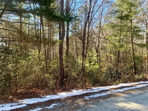 Tbd Oak Ridge Drive Brevard NC 28712