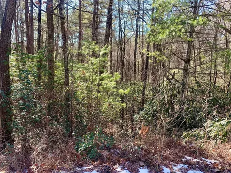 Tbd Oak Ridge Drive Brevard NC 28712