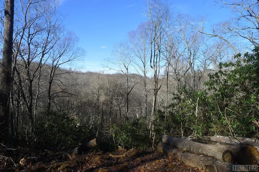 000 Walnut Gap Road Cullowhee NC 28717