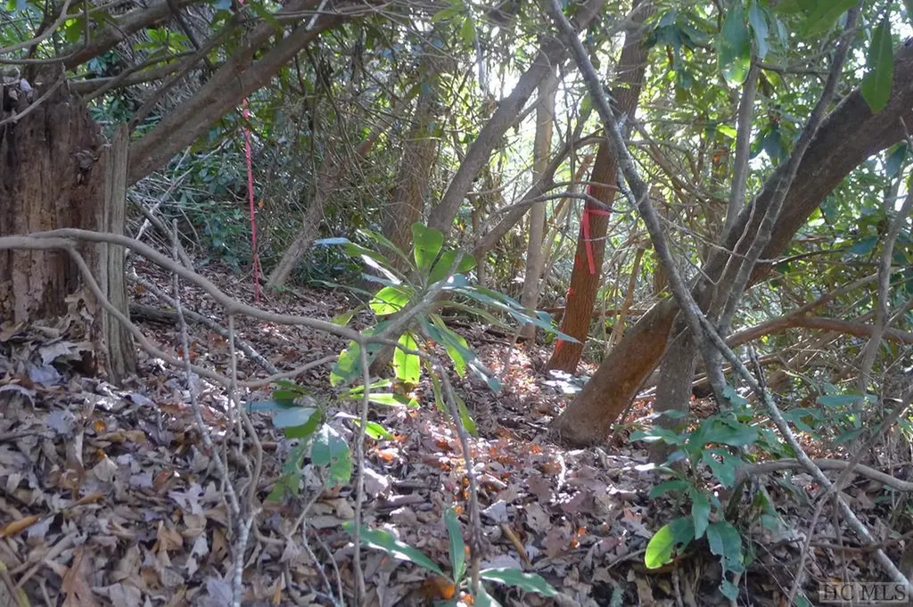 000 Walnut Gap Road Cullowhee NC 28717