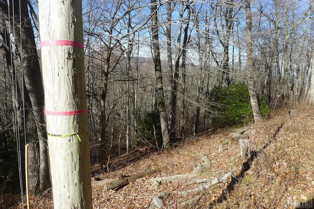 000 Walnut Gap Road Cullowhee NC 28717